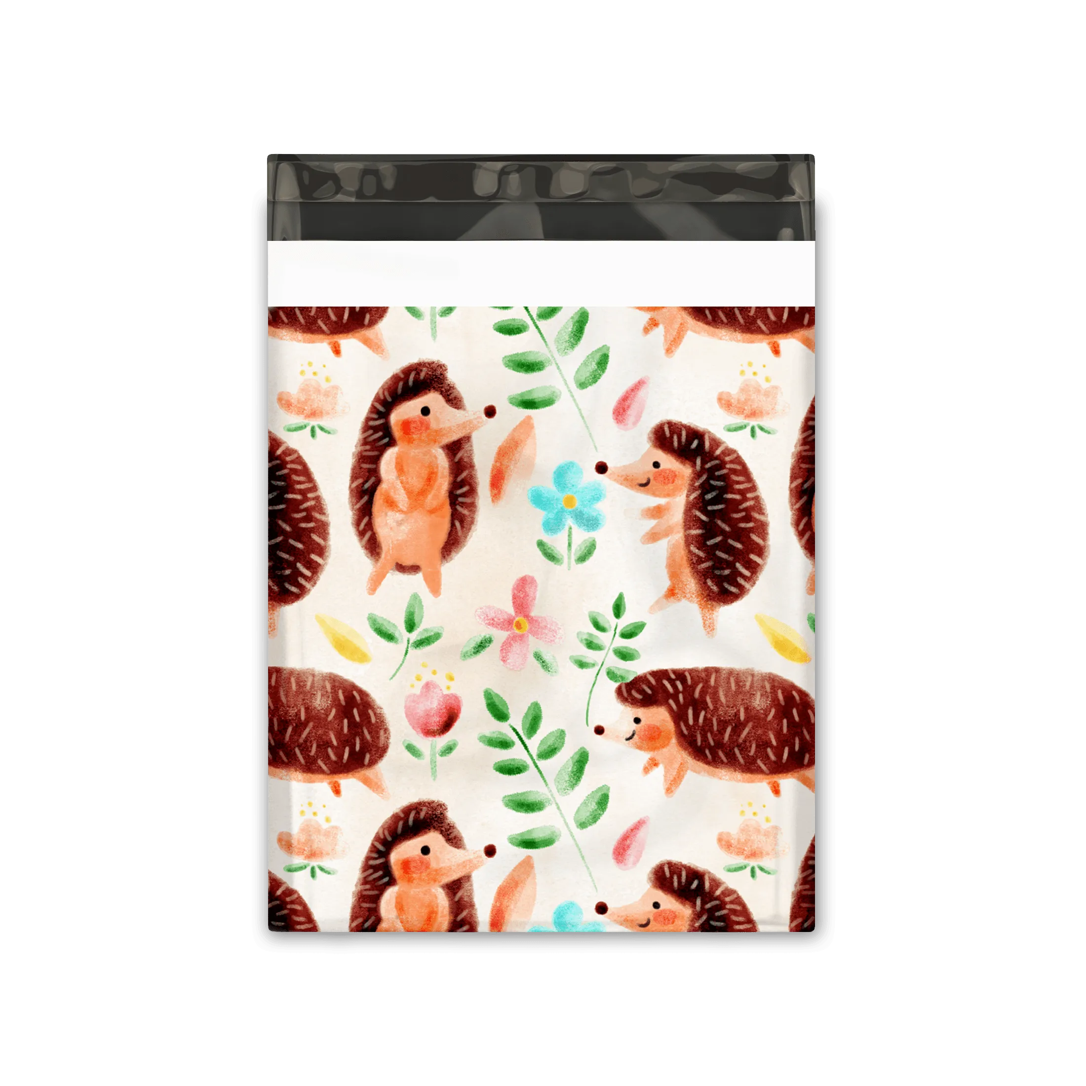 10x13 Hedgehog Designer Poly Mailers Shipping Envelopes Premium Printed Bags