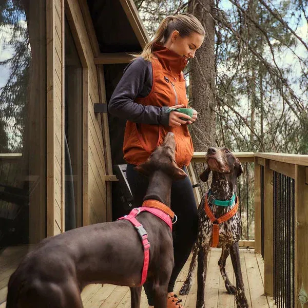 ECO Training Vest | Blackberry